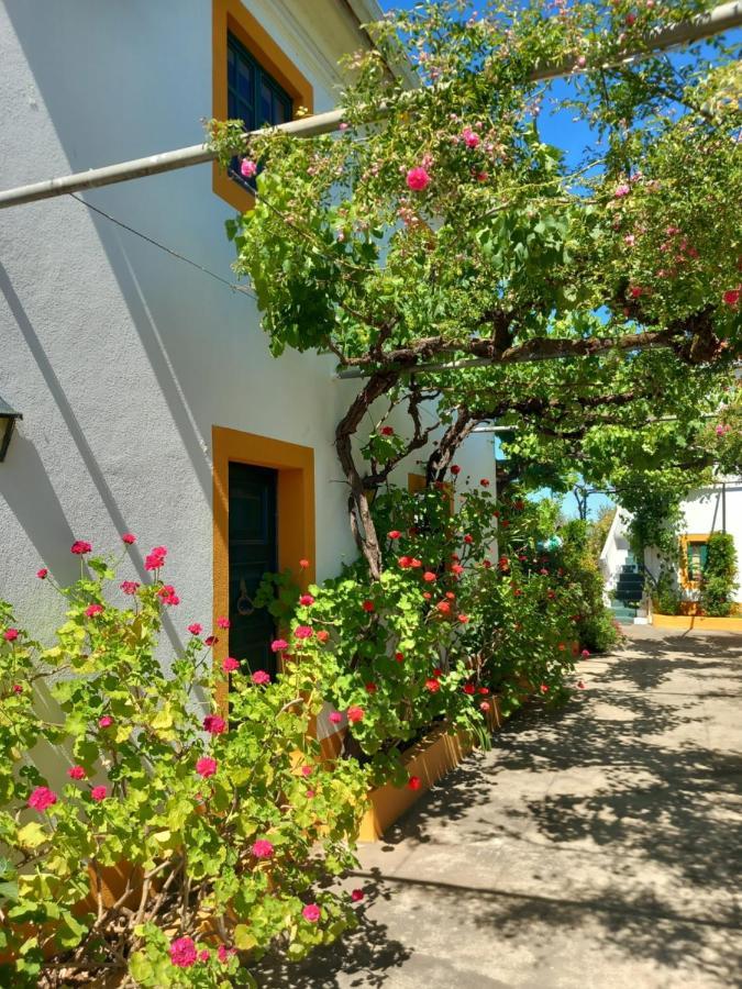 Apartamento O Ninho Do Rei Vila de Rei Exterior foto