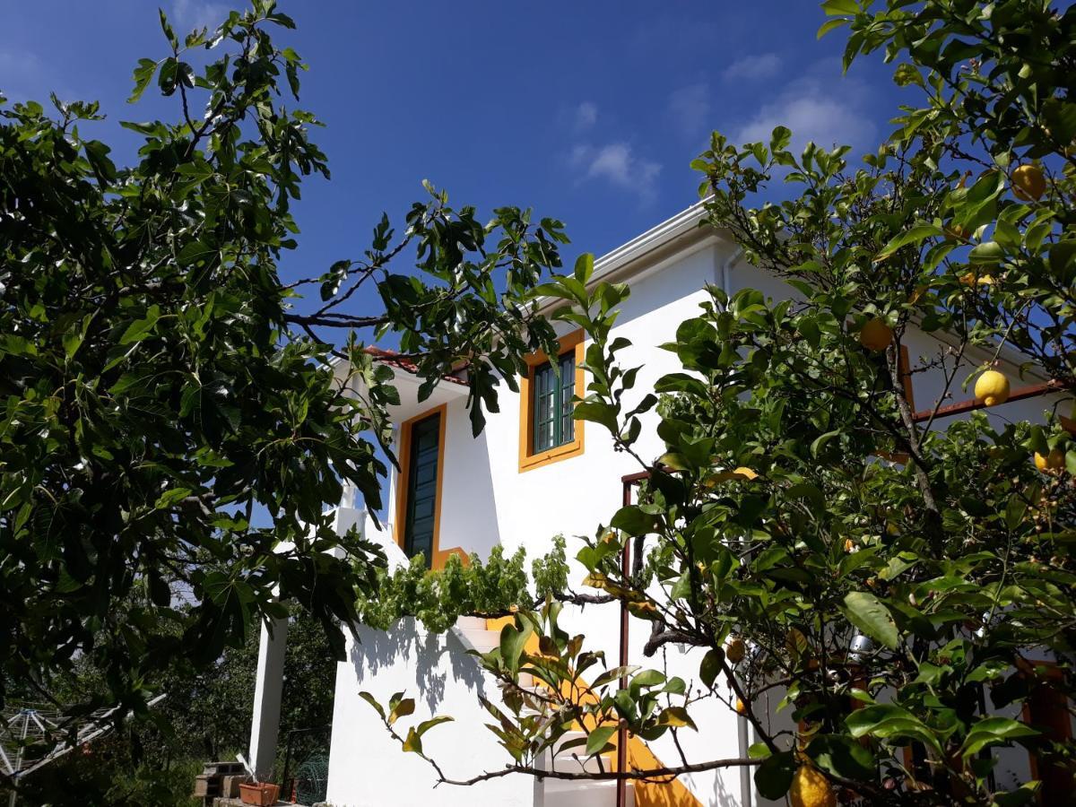 Apartamento O Ninho Do Rei Vila de Rei Exterior foto